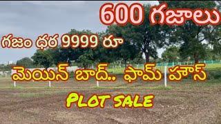 farm house plot for sale#East#600 sq yards #moinabad#Vln Properties...