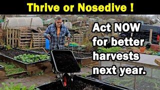 Thrive or Nosedive | Best Harvests 2022 | Act now | The Secret | Green Side Up