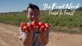 The Fruit Nerd: Field To Feast - Premiering on C31 15th June 2024