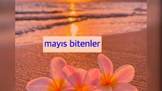 mayıs bitenler 2023