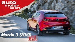 Der neue Mazda 3 (2019): Sieht heiß aus, aber kann er was? - Fahrbericht/Review | auto motor & sport