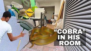 "COBRA" in his room