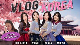 VLOG 24 JAM DI KOREA RAYAIN ULTAH CICI KOREA BARENG VILMEI & MEISSIE, TAPI JESSICA GAK DIAJAK ?!?!