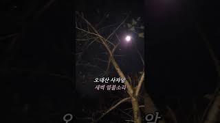 오대산 사자암 새벽예불 천수경  ㅡ 영인스님 (오늘도 모든분들 운수대통 만사형통 가정평온)