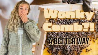 How To Fix Wonky Comb / Beekeeping 101 #beekeeping #beekeeper #beekeeping101