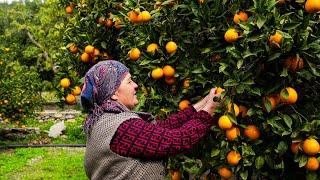 Farm Fresh Lunch | Cooking for Orange Harvest Workers