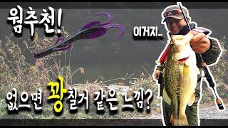 없으면 꽝칠거 같은 웜추천!! 블랙런커의 필수템! 꿀팁 [파이어배스2] (softbait for korea bass fishing)