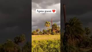apna gaon ️ #bihar  #view  #Sheikhpura