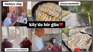 Köyde Vlog |Annemden mantarli Börek️| Dayimdan Balik ziyafeti| Güzel sohbetli bir Vlog. |