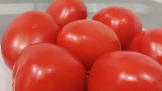 Fresh Tomatoes in the Gourmet Guide234 Kitchen