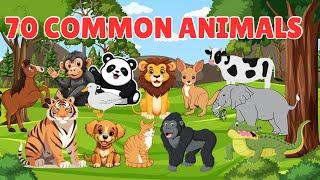 70 COMMON ANIMALS | Learn Common Animal Names for Kids