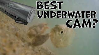 Surf Fishing UNDERWATER footage [CanFish CamX Review]