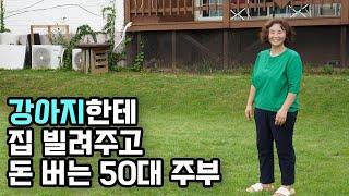 "제가 해본 일 중에 제일 쉬웠어요" 일하고 싶을 때 일하고 하루 70 버는 주부