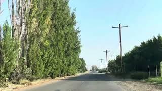 Rural Wapato Mob on a Summer Morning- August 2024