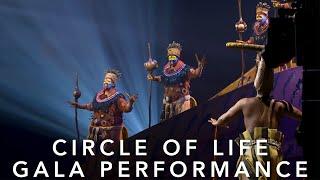 Circle Of Life: Gala Performance | Celebrating 25 Years of The Lion King in the West End | Disney UK