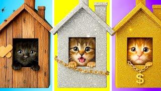 Secret Cat House in My Closet!  DIY Room Makeover, Gadgets & Hacks
