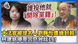 大法官被提名人劉靜怡遭綠營封殺！　柯建銘曝原因怒放話：誰投他就「開除黨籍」@ChinaTimes