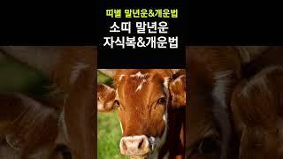 소띠 말년운, 자식복&개운법! 띠별로 확인하는 말년운과 자식복! 말년에 대박나기 위한 개운법! #말년운, #자식운, #개운법, #띠별운세, #소띠,