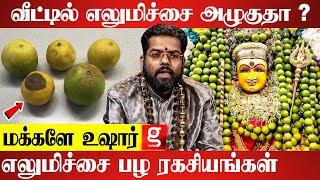 எலுமிச்சை பழத்தை கையில வாங்கிடாதீங்க...ஜாக்கிரதை | Astrologer Ramji Swamigal | Mystries of Lemon