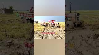 Massey king || #sorts #reels #4wd #viralvideo #tractor #masseyferguson #tractorgurusubha