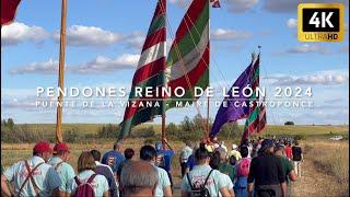 PENDONES REINO DE LEÓN 2024 (Puente de la Vizana - Maire de Castroponce)