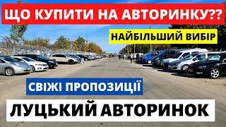 ЛУЦЬКИЙ АВТОРИНОК / СВІЖІ ПРОПОЗИЦІЇ // 27.10.2024р #автобазар  #автопідбірлуцьк #автопідбірлуцьк