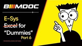 BMW Retrofit & Vehicle Order Change: How to Know Which ECUs Need Coding? E-Sys For Dummies Part 6