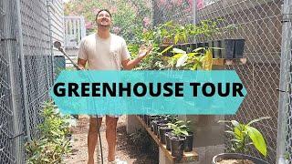 Greenhouse Nursery Tour II Rare Tropical Fruit Trees