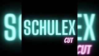 Brainshock D-Fence (Schulex Cut Remix)