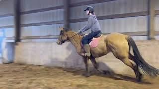 Elani under saddle jumping - March 2023