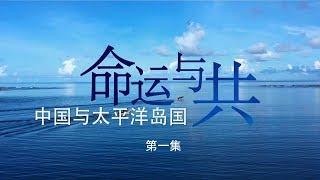 《命运与共——中国与太平洋岛国》 第一集 20181122 | CCTV