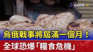 烏俄戰事將屆滿一個月！全球恐爆「糧食危機」