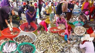 Fish Distribution sites @ Kilo 9 & Fresh Market Food - Cambodian Street Food