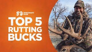 Top 5 Rutting Buck Hunts | Monster Buck Moments presented by Sportsman's Guide