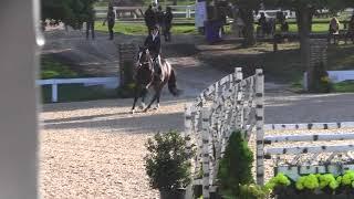 Video of CARENTO ridden by EMMA WUJEK from ShowNet!