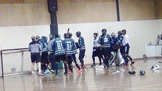 Best Ball Hockey Fights Best Ball Hockey Fist Fights Brawls (UFC + MMA) Not Bench-Clearing