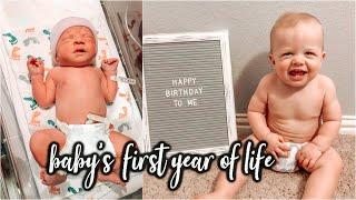 BENNETT'S FIRST BIRTHDAY | ONE YEAR PROGRESSION | Brittandfam