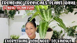 Trending Tropicals Plant Haul || 5 New Plants || Featuring Schismatoglottis