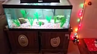 TopFin GF400 Corner Filter Diy Filter Upgrade FREE