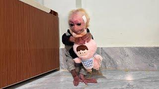 baby monkey terrified at home without dad