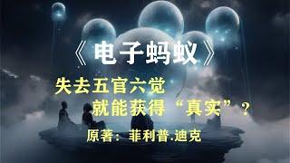 没有了五官六觉，我们能得到真正的“现实”？科幻名著《电子蚂蚁》