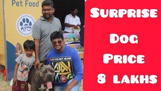 International Dog Show I VJ Vijay Vlog