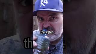 This guy boils water without a pot! #survival