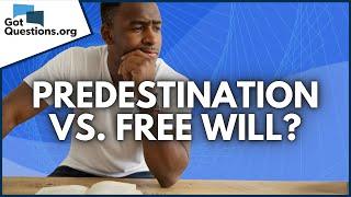 What does the Bible say about predestination vs. free will?  |  GotQuestions.org