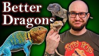 You DO NOT Want A Bearded Dragon! 5 BETTER Bearded Dragon Alternatives!