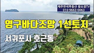 [매물번호 230821] 영구바다조망 최일선토지 / 서귀포시 호근동