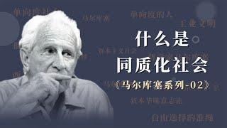 什么是同质化社会？为什么同质化的社会，个体会失去反思的能力？【小播读书】