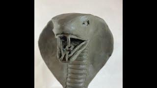 How to Sculpt a Cobra Head (Timelapse)