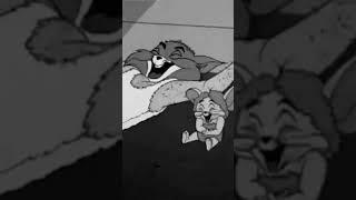 Tom and Jerry ki eternal jodi ️️️