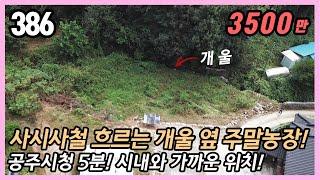 (공주시 주미동)  공주시청 5분 남공주IC 2분 좋은 접근성!  사계절 맑은 개울 옆 힐링 토지!  주말농장 농막부지 체류형쉼터 추천! / 135평 부담없는 소액매물!